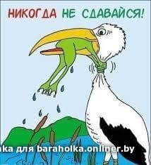 60f428c3e74fd9fe8be3ca8dbf5905f2.jpeg